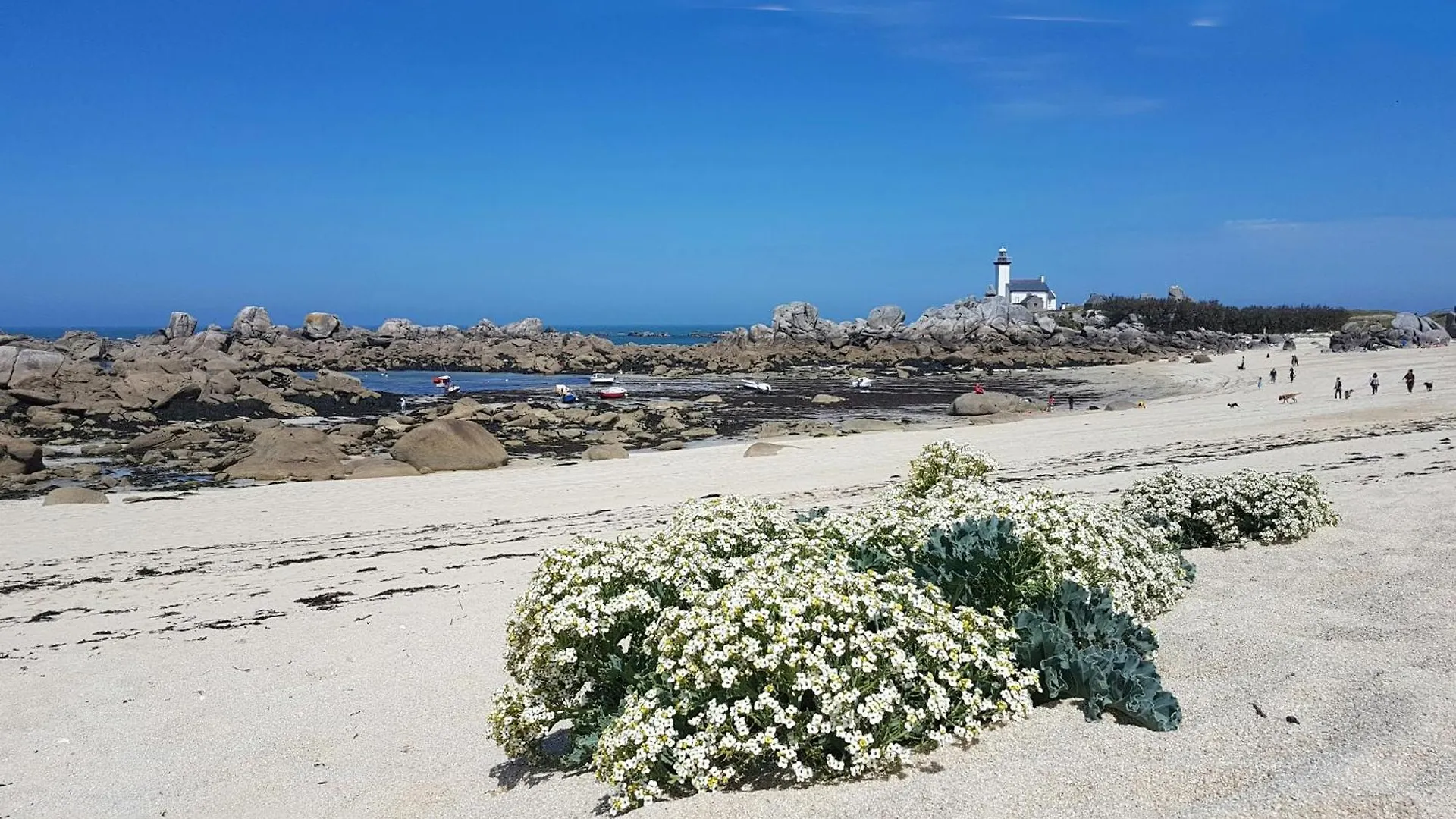 شقة La Legende Pontsuval 2Eme Etage - Centre-Ville Brignogan-Plages , 300 M Des Plages فرنسا
